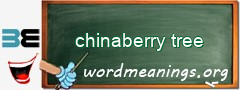 WordMeaning blackboard for chinaberry tree